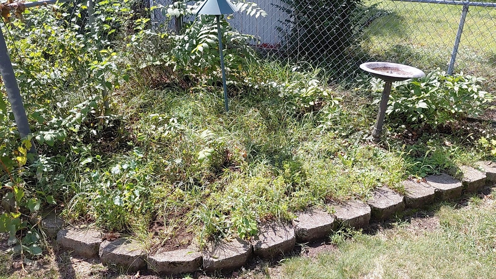 Yard before Hengesbach Landscaping